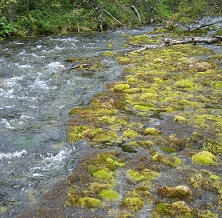 Sulajoja Utsjoki